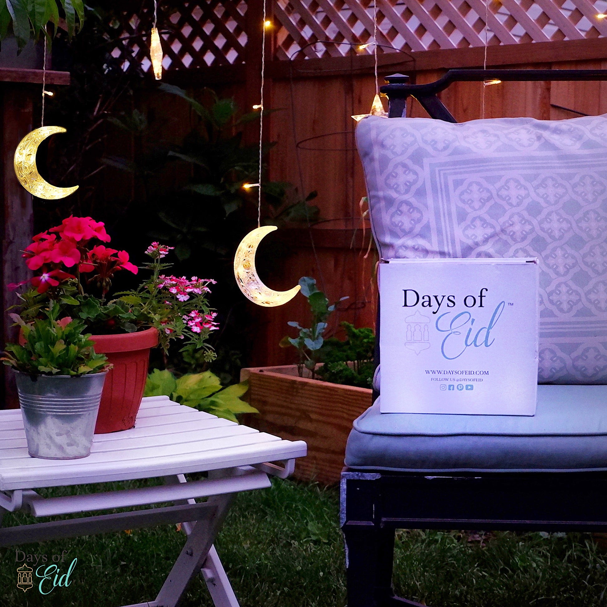 Moon & Star String Lights